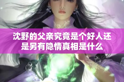 沈野的父亲究竟是个好人还是另有隐情真相是什么