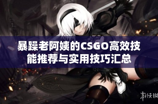 暴躁老阿姨的CSGO高效技能推荐与实用技巧汇总