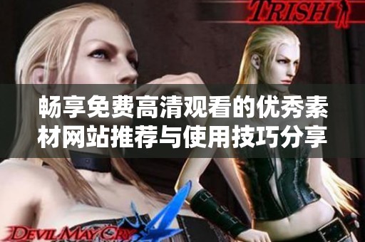 畅享免费高清观看的优秀素材网站推荐与使用技巧分享