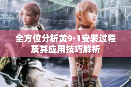 全方位分析黄9·1安装过程及其应用技巧解析