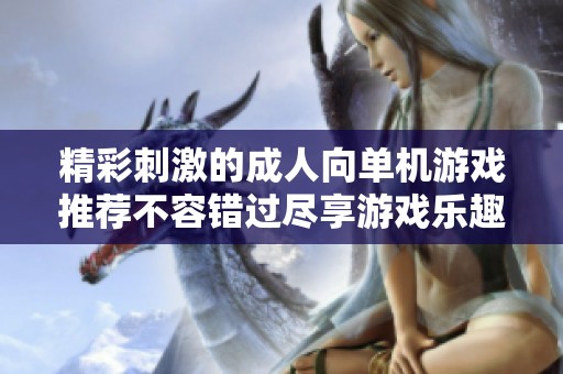精彩刺激的成人向单机游戏推荐不容错过尽享游戏乐趣