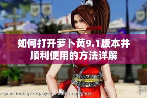 如何打开萝卜黄9.1版本并顺利使用的方法详解