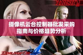 摄像机云台控制器批发采购指南与价格趋势分析
