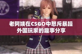 老阿姨在CSGO中怒斥暴躁外国玩家的趣事分享